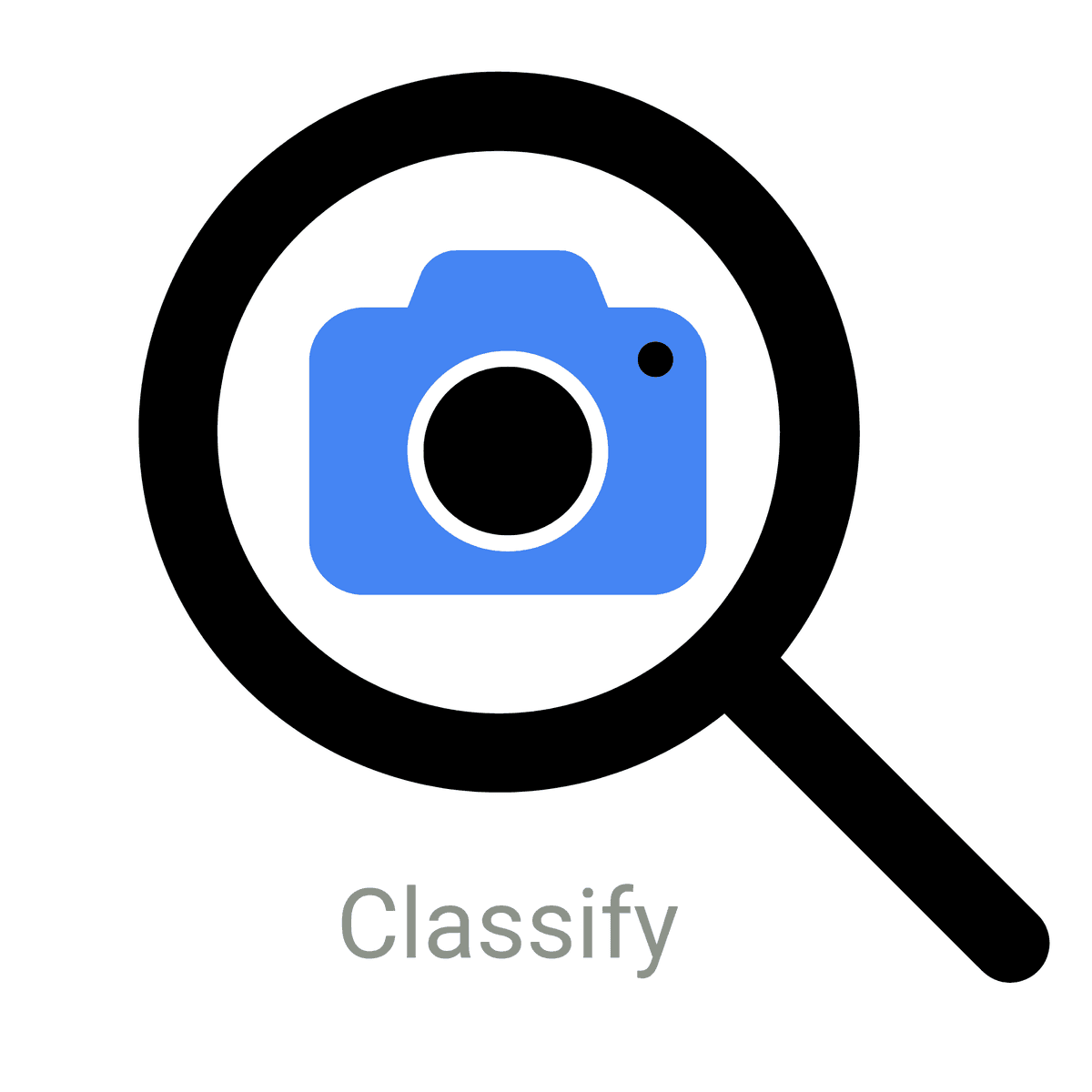 Classify logo — a camera inside a magnifying glass